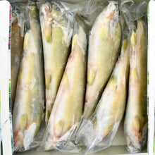 Load image into Gallery viewer, [SALE]冷凍台灣母香魚  Frozen Ayu Fish (case) 7pc/case
