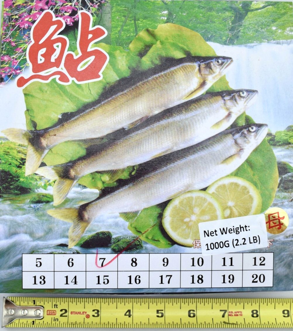 [SALE]冷凍台灣母香魚  Frozen Ayu Fish (case) 7pc/case