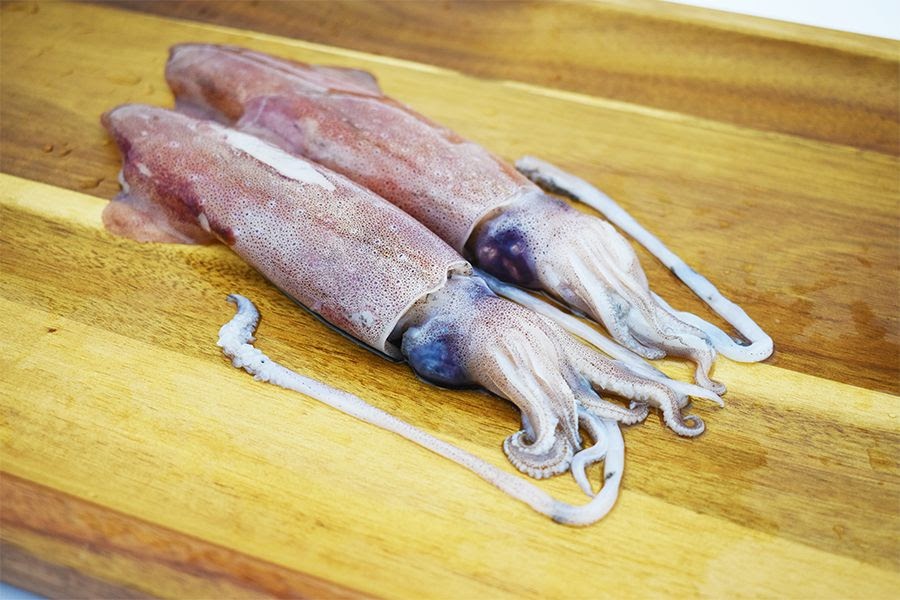 [SALE]鮮凍透抽(中卷) Fresh Frozen Loligo Squid 21-25 cm (S)(Wild Caught) 一包兩隻